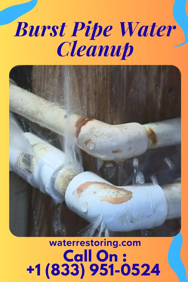 Burst Pipe Water Cleanup in Massillon, OH