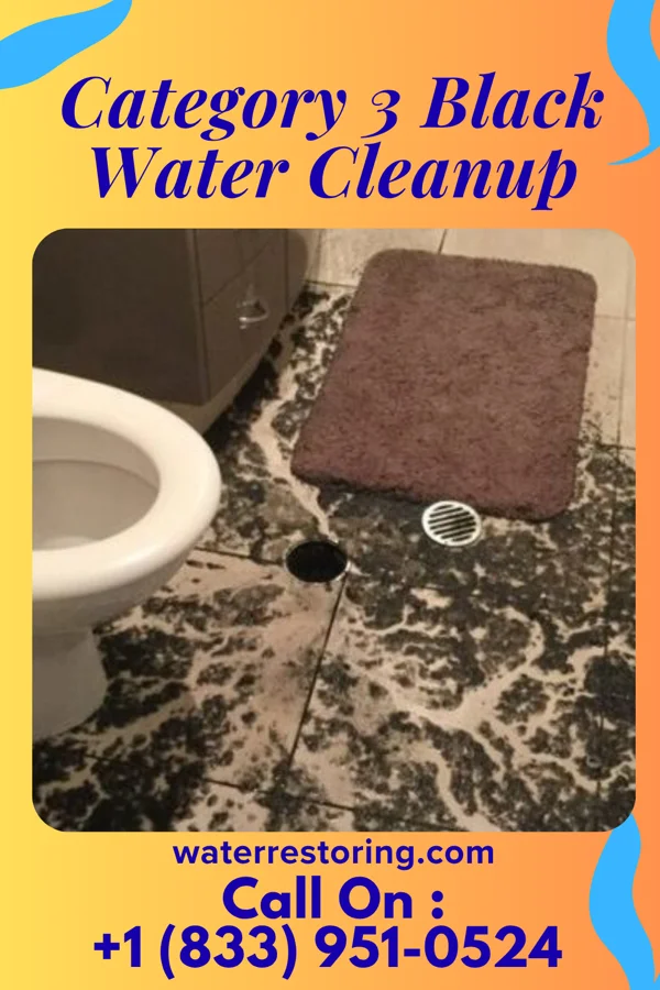 Category 3 Black Water Cleanup in Massillon, OH