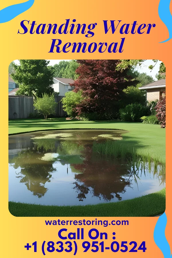 Standing Water Removal in Massillon, OH
